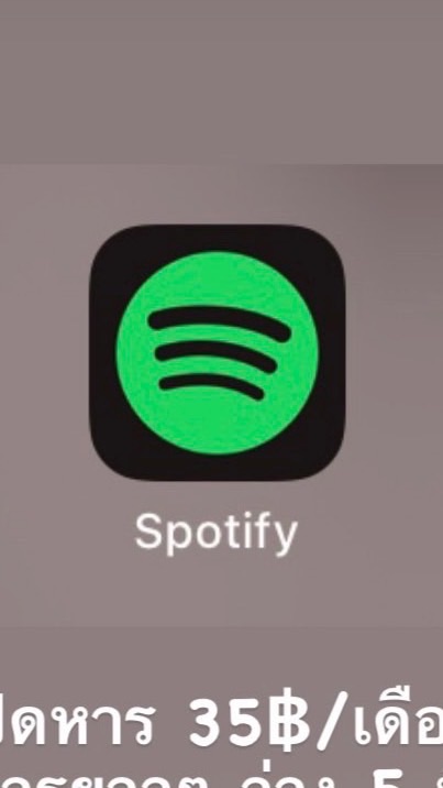 Spotify family