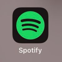 Spotify family