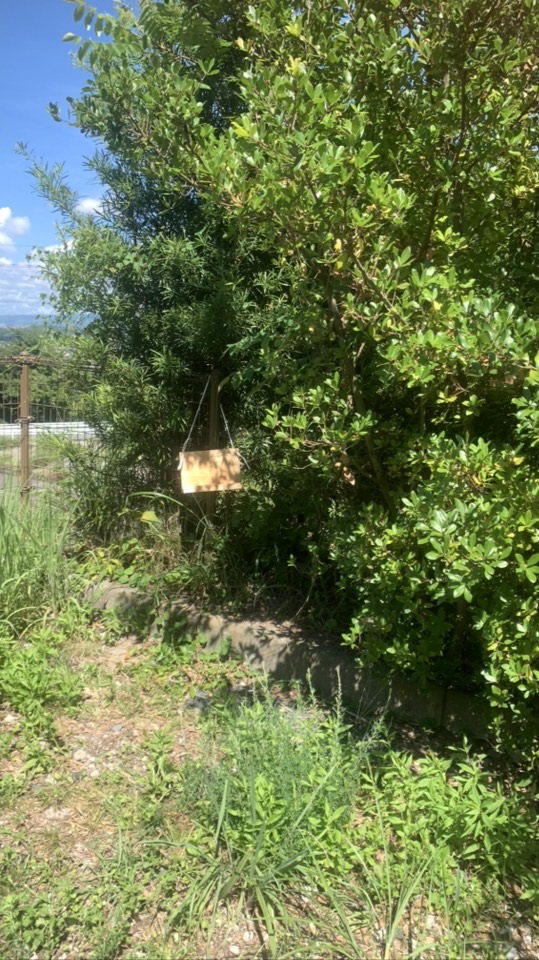 紀の川Bボード②