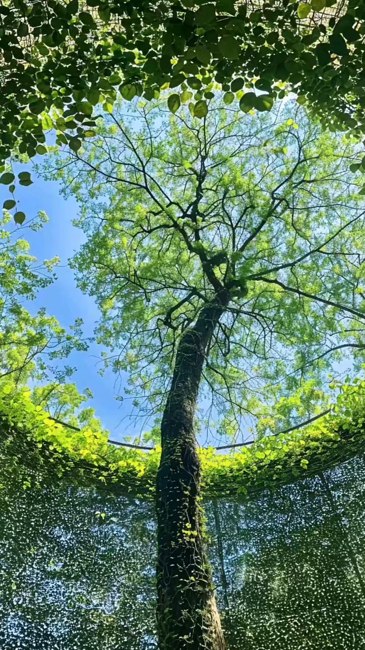 ♡嗑cp專業戶
