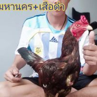 ซุ้ม.เพชรเจริญ36