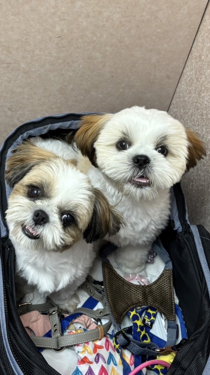 らんはるの掲示板🐶