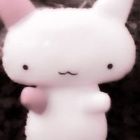 yayの繋がり