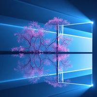 MS 365& Google Site