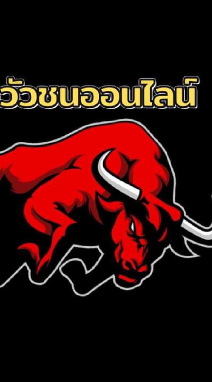 วัวชนแดนใต้