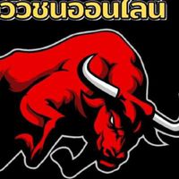 วัวชนแดนใต้