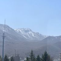 吉埋護理國考爭議區
