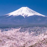 🌸00949 /00953B/00952/00938/ETF/討論區