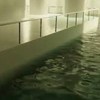 プールルーム好きな人集まれ！