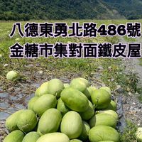 鶯歌快樂西瓜販售（社群）