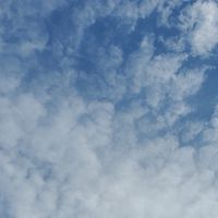 🐇福島市集まれ🐇③
