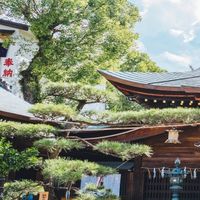 福岡代購2026/02/18-02/23