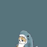 Neko V6