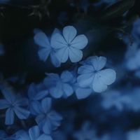 此処なら泣いてもいいよ．