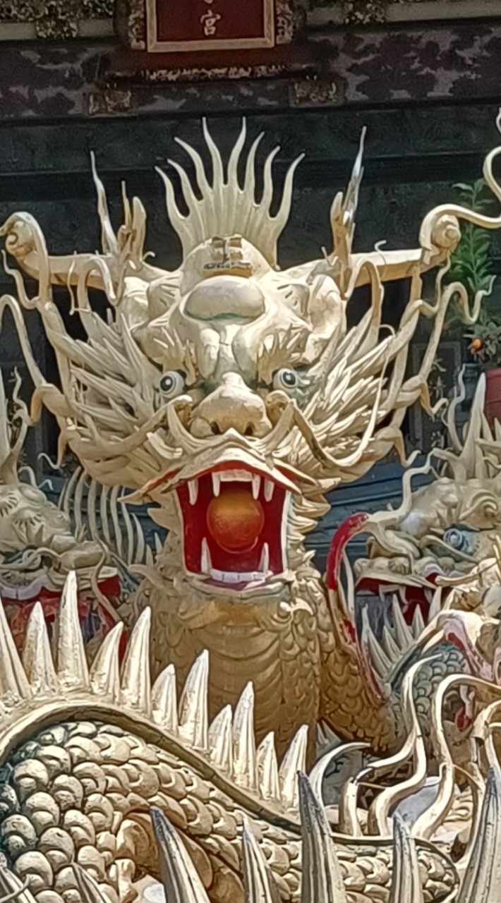 心情的避風港