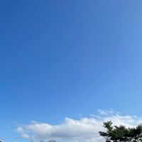 関西ゴルフ⛳️大人のお一人様の集い