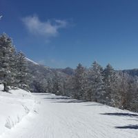 PXT SNOW TOUR