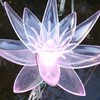 ☆女装限定☆お部屋