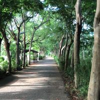 網路消息查證