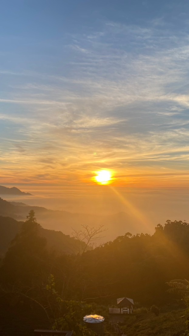 奮起湖大凍山阿瑋水果攤