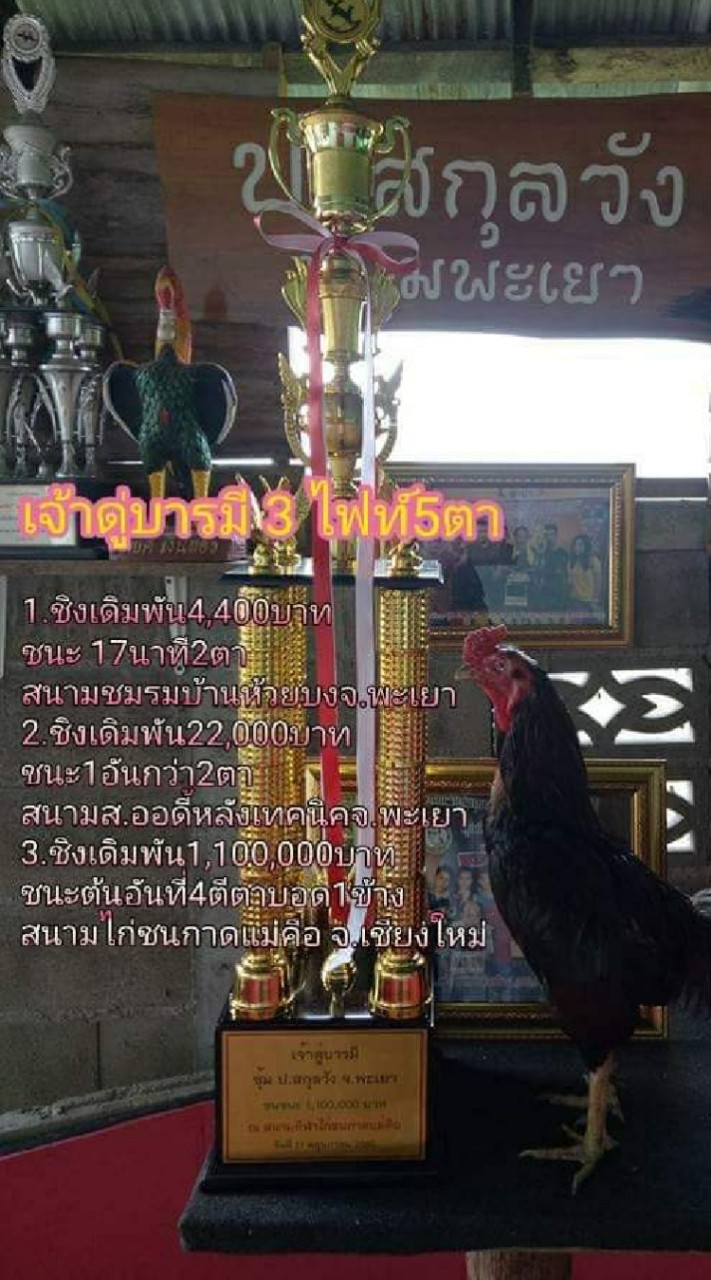ป.สกุลวัง​ พะเยา