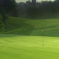 STC GOLF FOR U