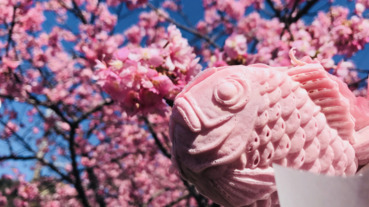 日本人賞櫻都吃什麼點心？盤點在日本賞櫻必吃甜點
