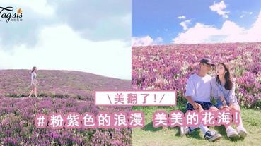 還在火熱中，超夢幻唯美的粉紫花海，就在台北~隨便拍拍都超美的啊~
