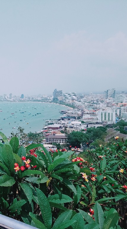 Here's Pattaya