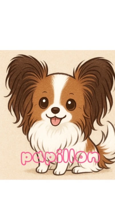 パピヨン大好き♥️