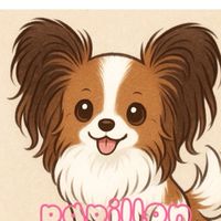 パピヨン大好き♥️