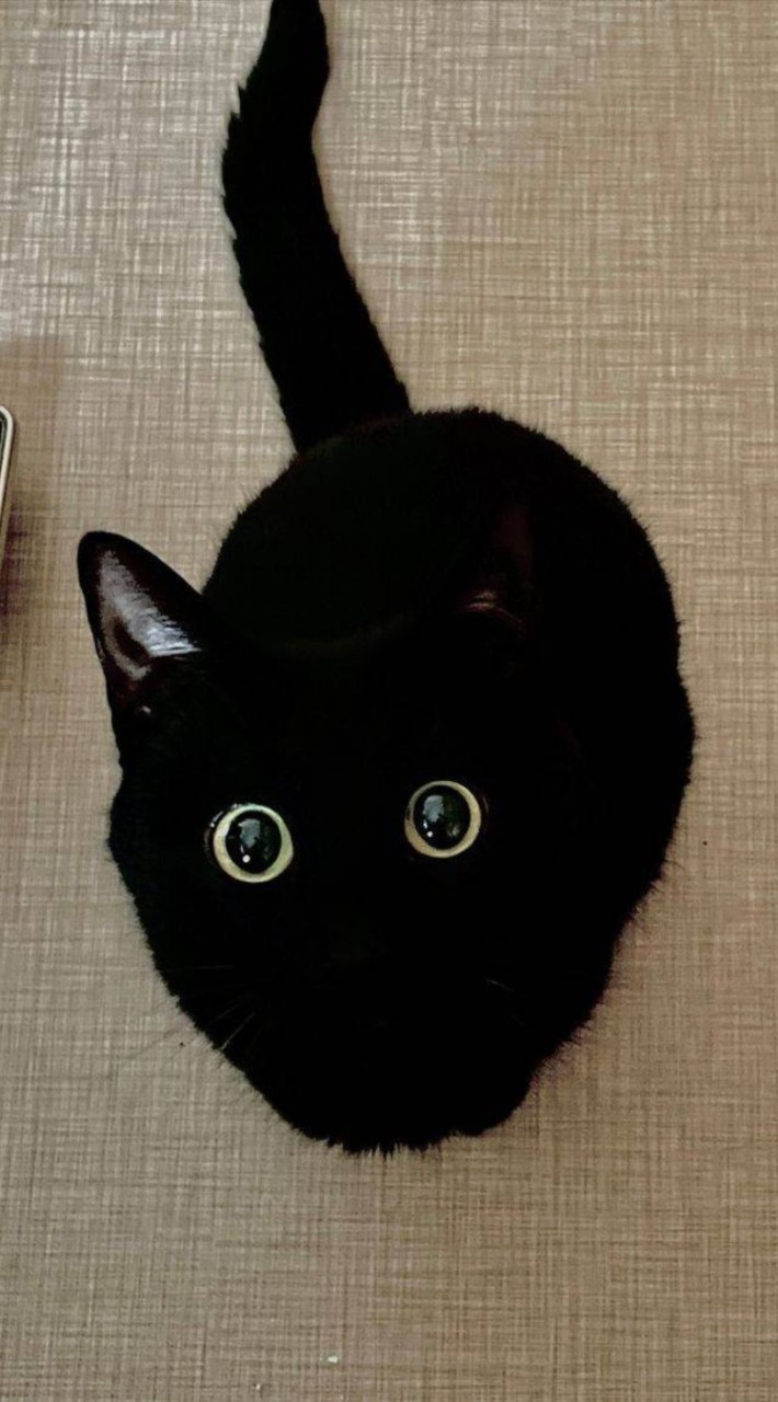 คุยเล่นกันแบบเพื่อนๆพี่ๆน้องๆ