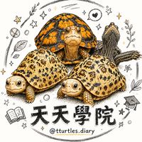 天天學院｜兩棲爬蟲｜飼養分享