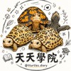 天天學院｜兩棲爬蟲｜飼養分享