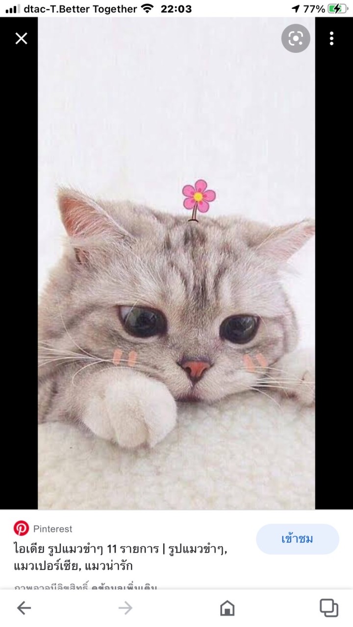 ห้องคุยเล่น