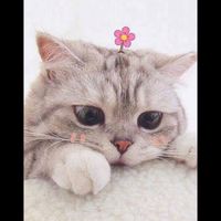 ห้องคุยเล่น