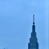 寂しい社会人の🍀　　　　　　　　のんびり雑談部屋🐣