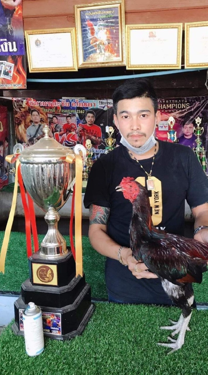 สายกลองเพล