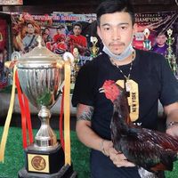สายกลองเพล