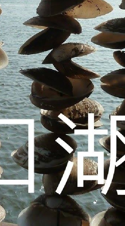我是口湖人
