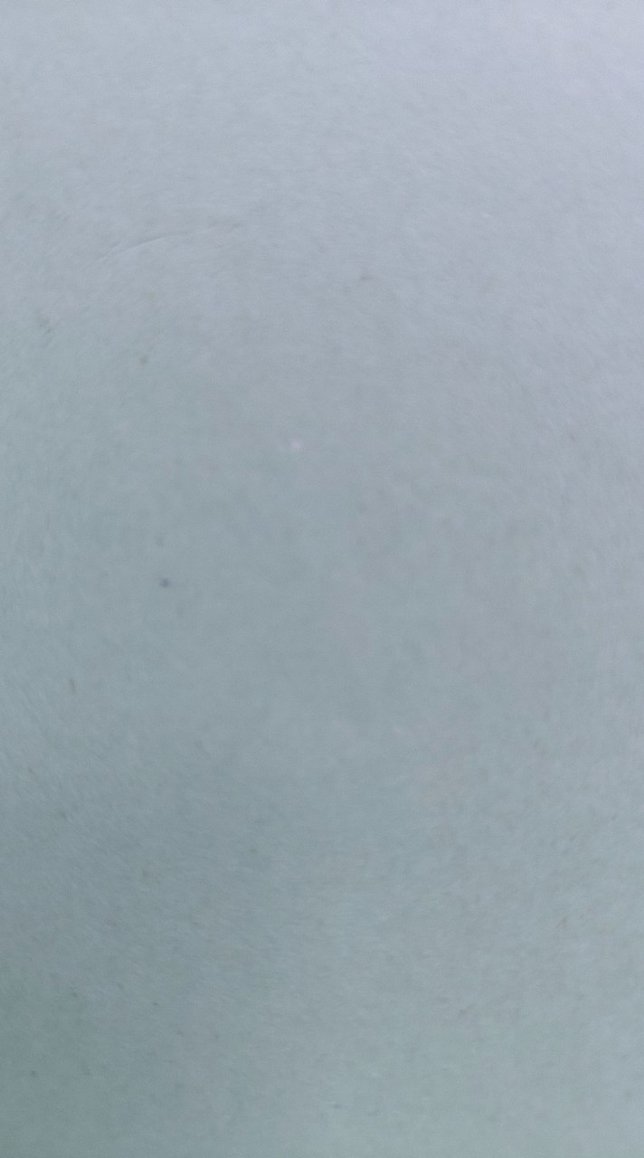 115忠孝國標華爾茲