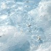 讀書の旅