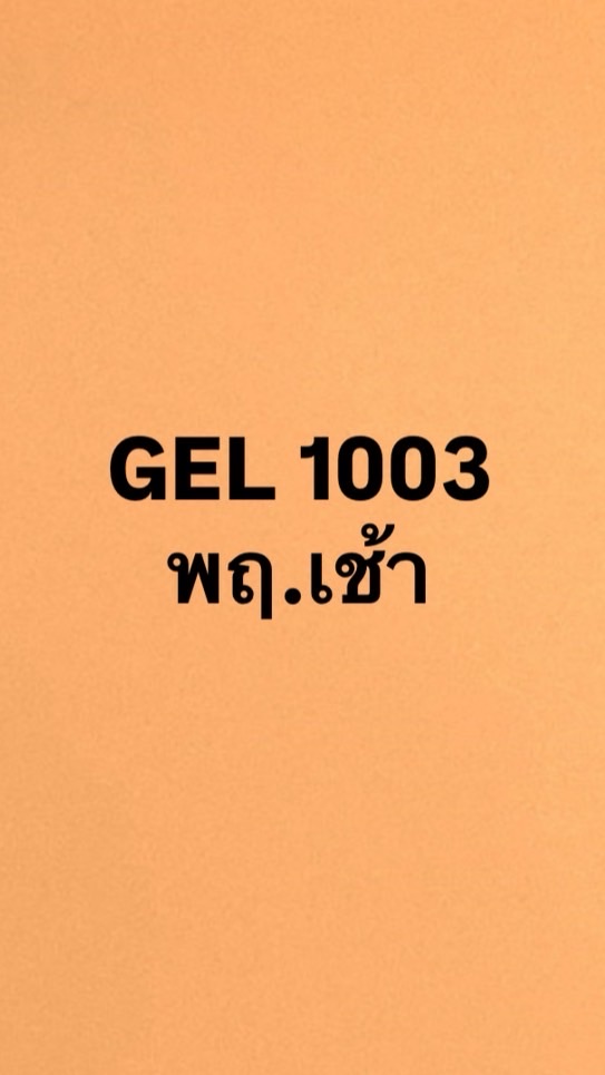 GEL 1003 อิ้งดิจิตัล