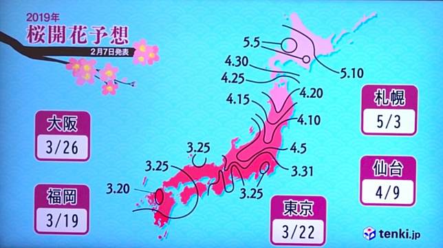 日本花粉季 花粉量10年最高遊日賞櫻花小心過敏 Sundaykiss Line Today