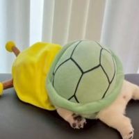 元恋人を恋しく思う