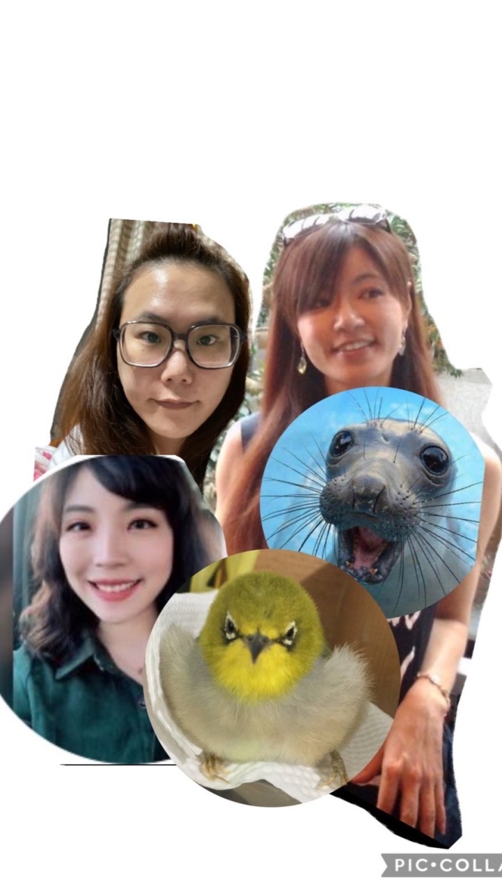 臣妾做不到啊～