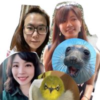 臣妾做不到啊～