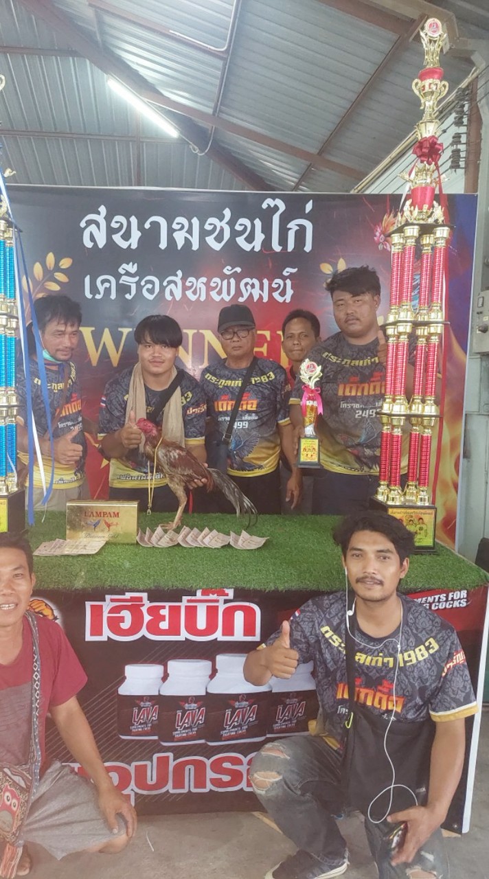 มิตรภาพไก่ชน เด็กดื้อ โคราช