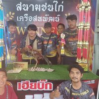 มิตรภาพไก่ชน เด็กดื้อ โคราช