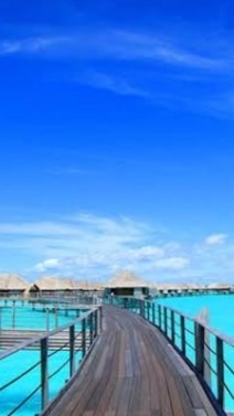 お悩み相談室　人生相談等